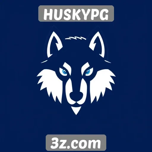 Atualizações recentes no sistema de segurança da HUSKYPG