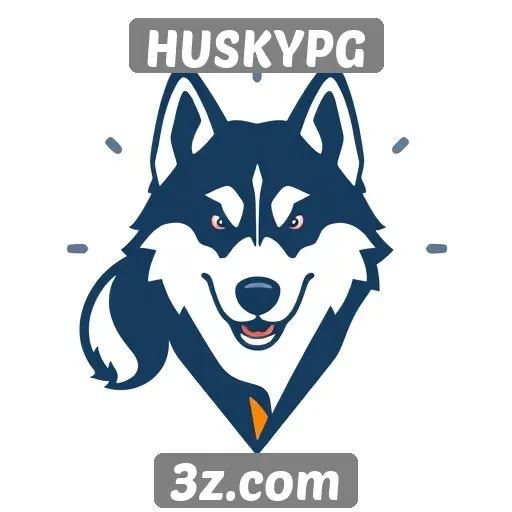 Navegação intuitiva no site HUSKYPG destaca-se