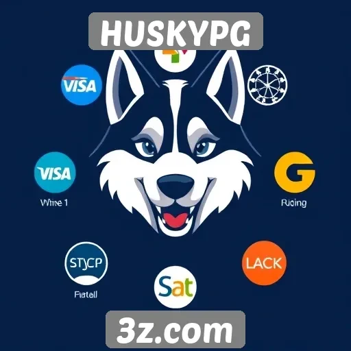 Exploração dos métodos de pagamento do HUSKYPG