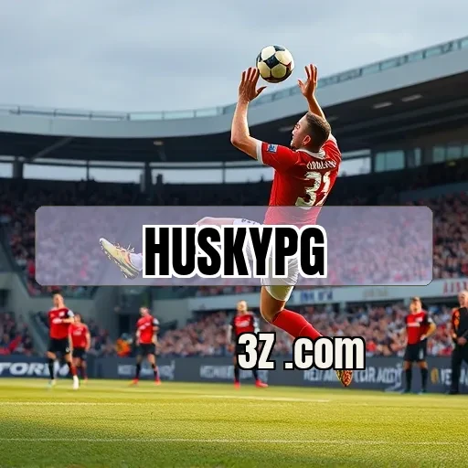 HUSKYPG Plataforma